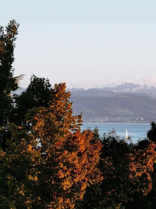 Wohnen Direkt Am Uferpark Mit Grossem Balkon Und Seeblick FDH Exterior foto
